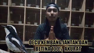 decu kembang jantan dan betina