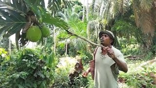 MWIZI APIGWA SHOTI Vs TAASISI _Maonesho 01=02