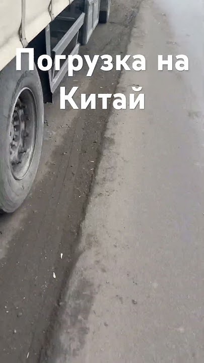 Лен на Китай с доставкой , #китай #доставка #фуры #египет #отдых - YouTube