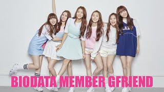 Biodata Profil Fakta Fakta Lengkap Member GFRIEND