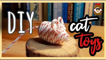 DIY - Cheap Cat Toys !