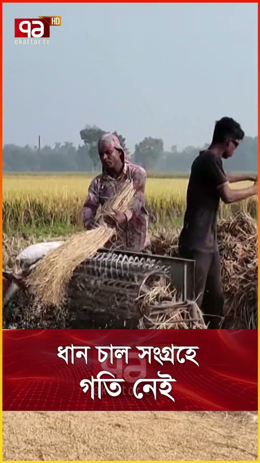 ধান চাল সংগ্রহে গতি নেই