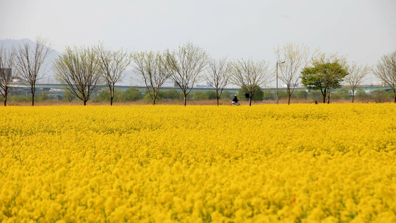 타향의봄_김윤길