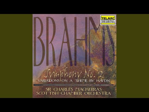 Sleduj Brahms: Symphony No. 2 in D Major, Op. 73: II. Adagio non troppo na YouTube