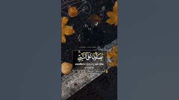 تلاوات خاشعة بصوت جميل للقارئ -مصعب الحوشاني