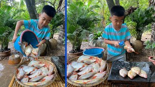 Delicious river fish cooking with country style  Chef Seyhak