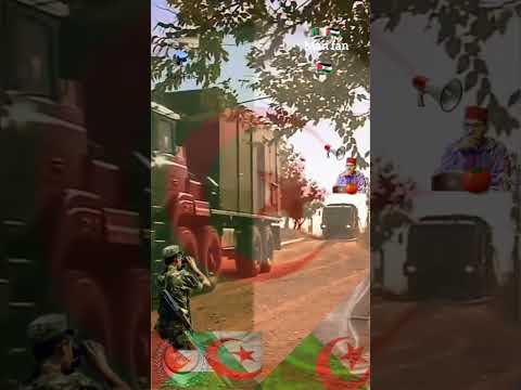إلا أرض الجزائر