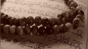 سورة الإنسان _ محمود عبد الحكم