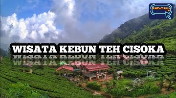 Wisata Alam Kebun Teh Cisoka Sumedang #WisataSumedang