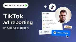TikTok ad reporting now available on One-Click Report screenshot 5