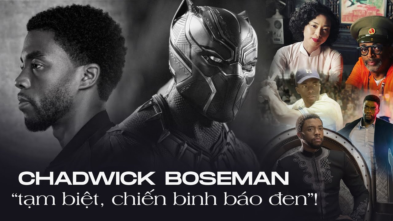 Chiến Binh Báo Đen - Black Panther