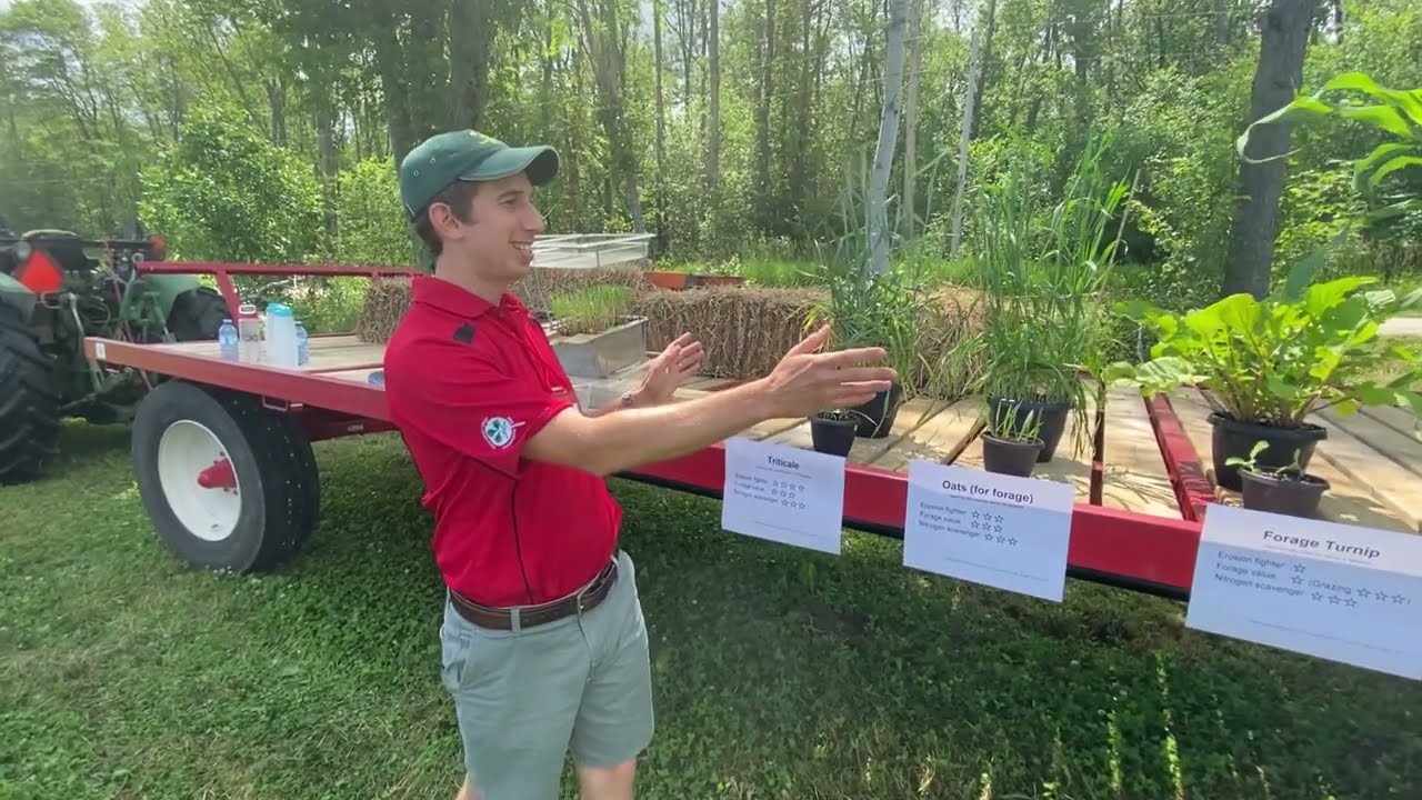 Forage and non-forage cover crop options following winter wheat in Ontario