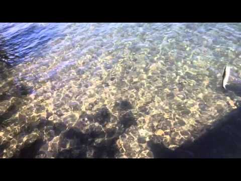 Donner Lake Fishing June 2015 Donner Lake Fishing June 2015