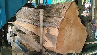 giant teak wood full of old and beautiful grain on the most expensive solid table saw