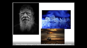 Video 3 - Canon Professional Print & Layout - Layout options - Single and Multiple