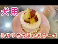 犬用手作りケーキで1歳のお誕生日祝い