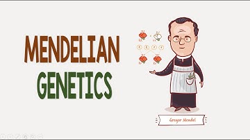 Mendelian Genetics | Biology Animation