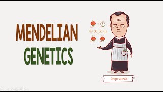Mendelian Genetics | Biology Animation