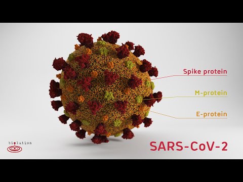 What Covid-19 therapies are there? What Covid-19 therapies are there?