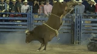 Bucking Battle for the Cure