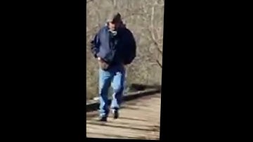 Delphi Murders. Frame by Frame Stabilization. Slow Motion. Short