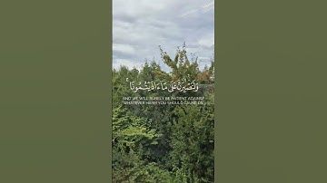 تلاوة خاشعة للشيخ عبدالله القرافي#اكسبلور #المصحف