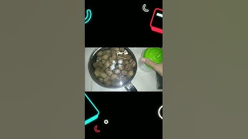 Thumbnail of begini cara masak kerang yang benar