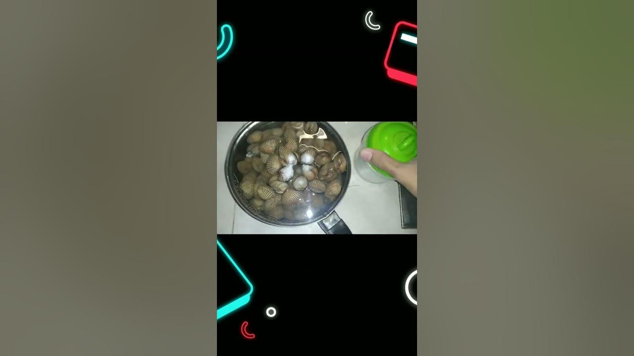begini cara masak kerang yang benar