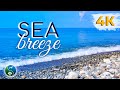 Звуки Моря | Галечный Пляж с Голубым Небом и Звуками Прибоя на Морского Берегу | Море для релаксации