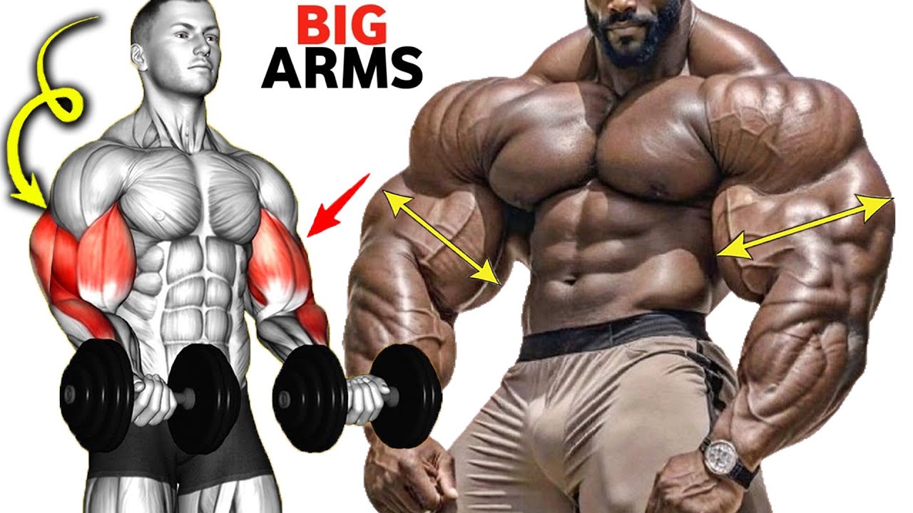 The Best Arms Workout for Bigger Arms YouTube