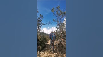 gerbang pasar setan #lawuviacetho #nature #mountains #travel #pendaki