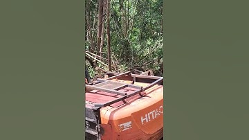 Excavator Hitachi collect logs#alatberat#kayubalak#heavyequipment#hitachi