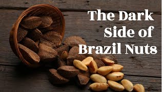 The Dark Side of Brazil Nuts