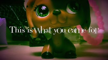 Lps This is what you came for MEP PART For LPS Haley Productions