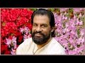K J Yesudas | Shyam | Kanninte Karpooram | Theeram Thedunna Thira | Malayalam Film Song