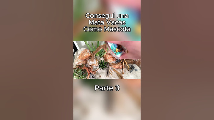 Consegui un MATA VACAS como mascota