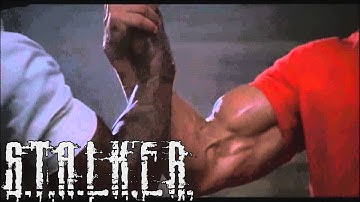 это не БАГ, это АНОМАЛИЯ - STALKER Anomaly Redux