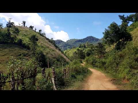 Video: Cas Yuav Khiav Mus Nyob Thaib Teb