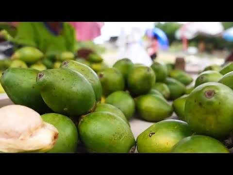 每天嚼5包槟榔 连续吃10年 十年后身体会发生什么变化