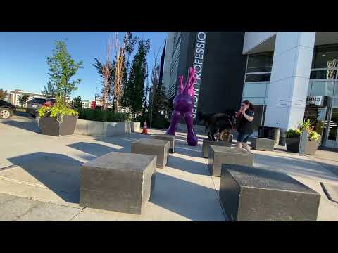 CDP 2024 Challenge Location #16