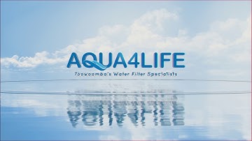 Intro Logo Animation Feel the Water