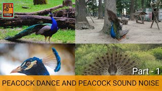 Peacock dance and peacock sound Noise |Peacock Dance | Peacock sound Noise |the earth | part 1