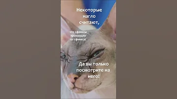 Почему сфинкс называется сфинкс?