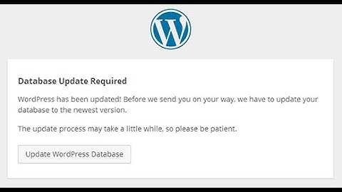 How to fix can not update database after update WP Version