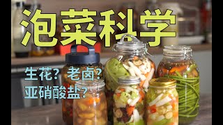 微观层面解释四川泡菜原理把玄学讲清楚 泡椒|泡姜|跳水泡菜|乳酸发酵