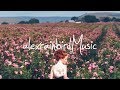 All Faces - Rose Fields