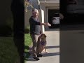 How to Stop Dog Pulling! #dog #dogtraining #cesarmillan