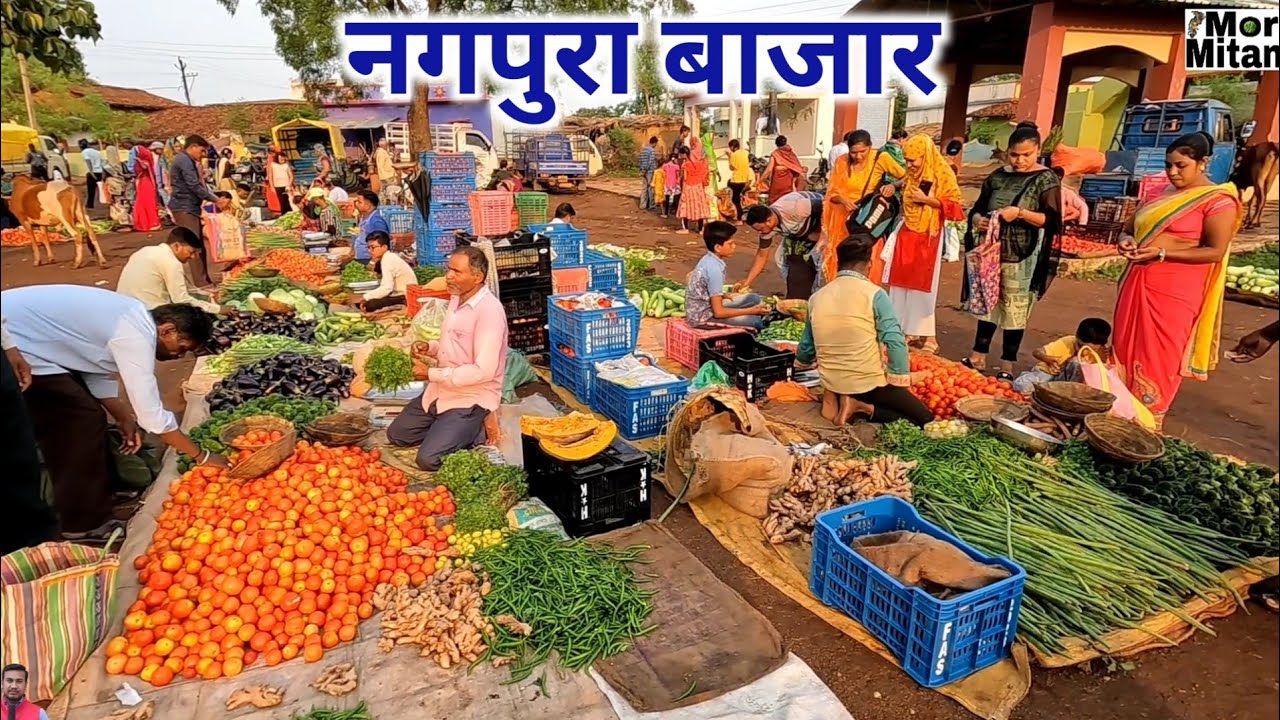 Nagpura Sabji Market Durg नगपुरा बाजार दुर्ग || Mor Mitan Dilip