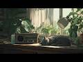 Chill Lofi Music for Studying, Reading, and Staying Focused