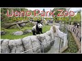 UENO PARK ZOO | A MUST visit in Tokyo